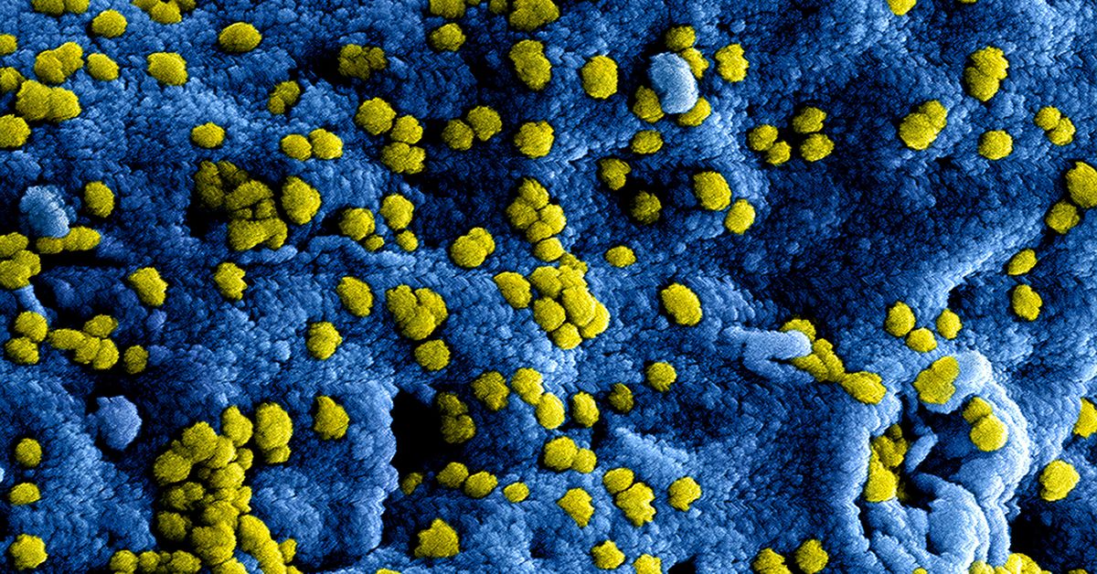 Global Health Initiatives Combating Diseases and Improving Public Health