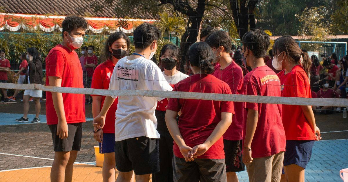 Community Impact of Youth Sports Programs